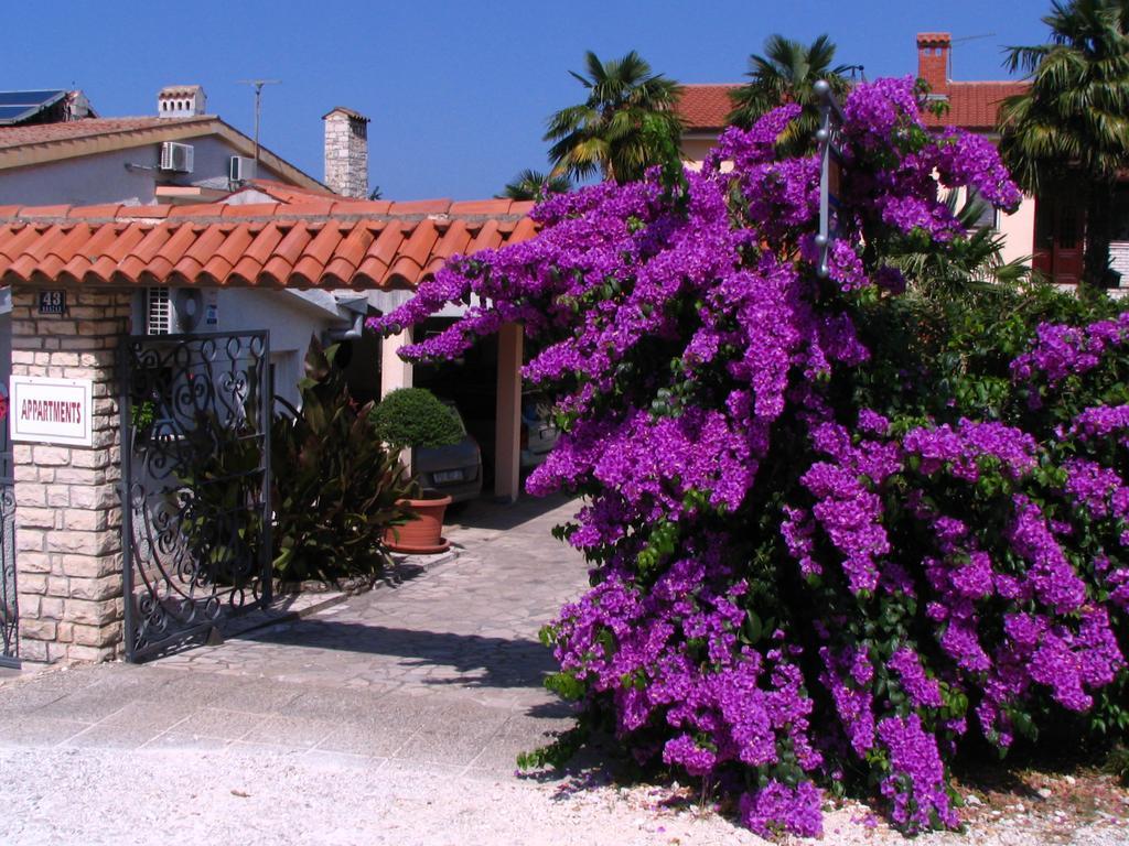 Apartments Nela Poreč Zewnętrze zdjęcie